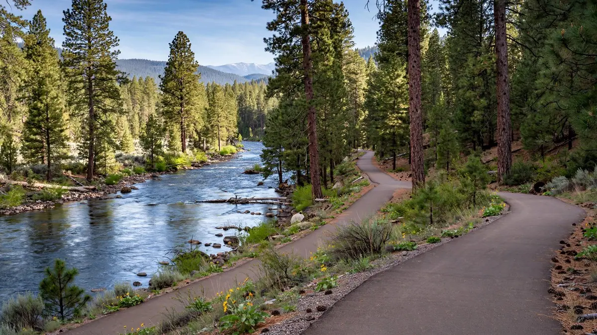 Emergency plumber serving Sunriver, OR 97707: Deschutes River and pine forest near Sunriver
